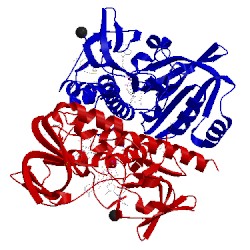 Image of CATH 4gcm