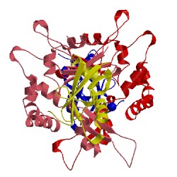 Image of CATH 4gdk
