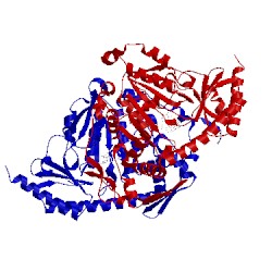 Image of CATH 4gdy