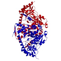 Image of CATH 4ge4