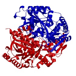 Image of CATH 4ge7