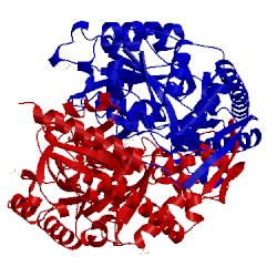 Image of CATH 4geb