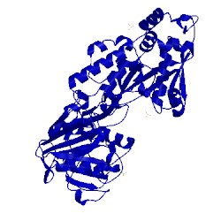 Image of CATH 4gf8