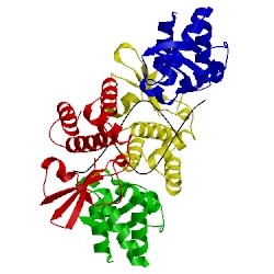 Image of CATH 4gha