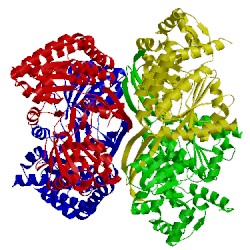 Image of CATH 4ghk