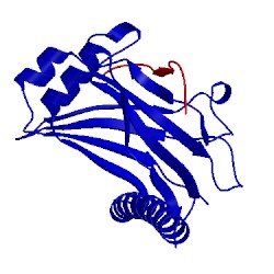 Image of CATH 4ghu