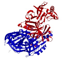 Image of CATH 4gjc