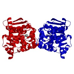 Image of CATH 4gkm