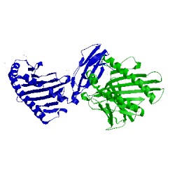 Image of CATH 4gkn