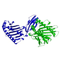 Image of CATH 4gks