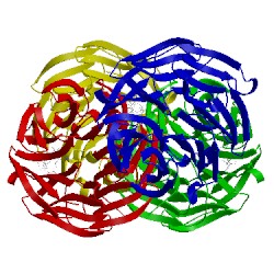 Image of CATH 4gm8