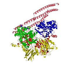 Image of CATH 4gnk