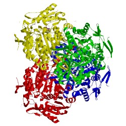Image of CATH 4go2