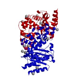 Image of CATH 4gog