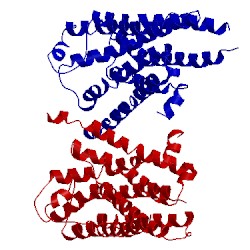 Image of CATH 4gpo