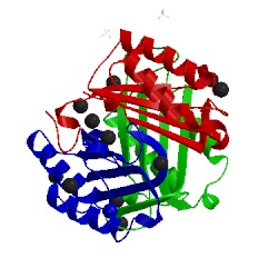 Image of CATH 4grn