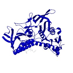 Image of CATH 4grt