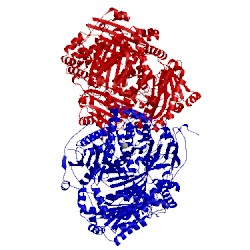 Image of CATH 4gsc