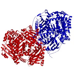Image of CATH 4gsf