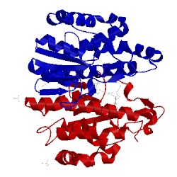 Image of CATH 4gst
