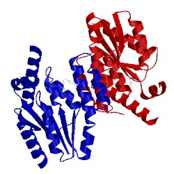 Image of CATH 4gsy