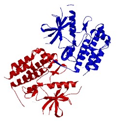 Image of CATH 4gt4