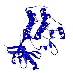 Image of CATH 4gt5