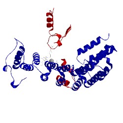 Image of CATH 4gto