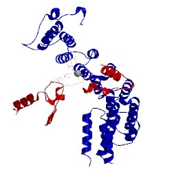 Image of CATH 4gtr