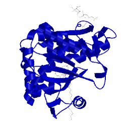 Image of CATH 4guw