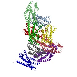 Image of CATH 4gyv