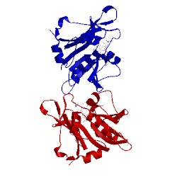 Image of CATH 4h95