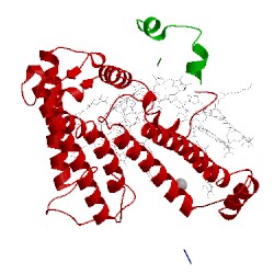 Image of CATH 4h9l