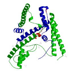 Image of CATH 4h9n