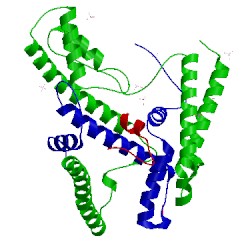 Image of CATH 4h9q