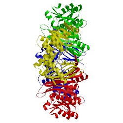 Image of CATH 4had
