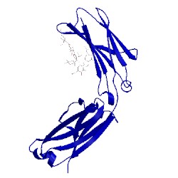 Image of CATH 4hag