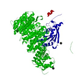 Image of CATH 4hau