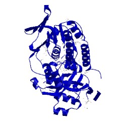 Image of CATH 4hb9