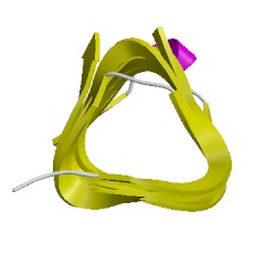 Image of CATH 4hcqA02