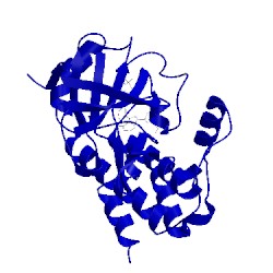 Image of CATH 4hct