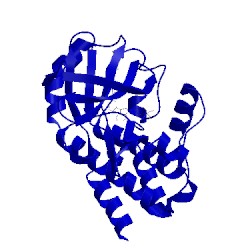 Image of CATH 4hcv