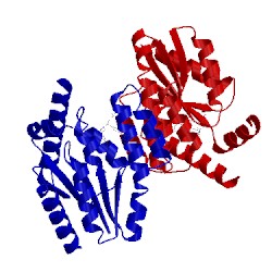 Image of CATH 4hdc