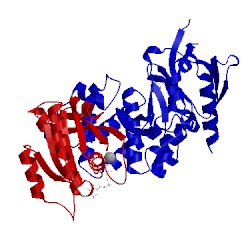 Image of CATH 4hdo