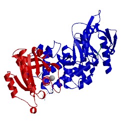 Image of CATH 4hdq