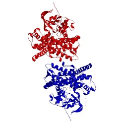 Image of CATH 4hgh