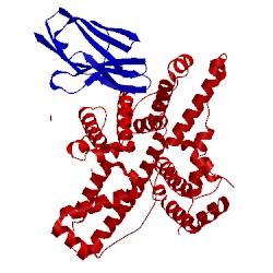 Image of CATH 4hgm