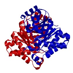 Image of CATH 4hhp