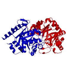 Image of CATH 4hib