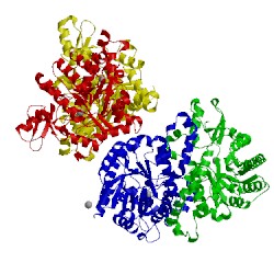 Image of CATH 4hk7